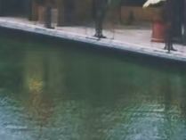 武棠园旅行图片 3