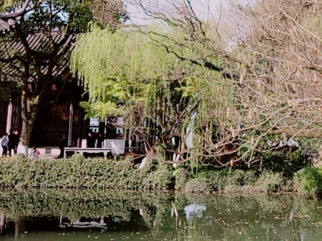 武棠园旅行图片 2