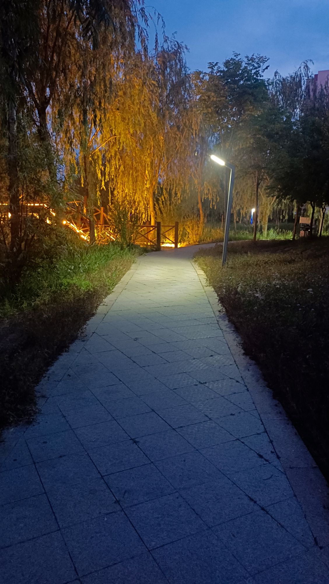 武棠园旅行图片 2