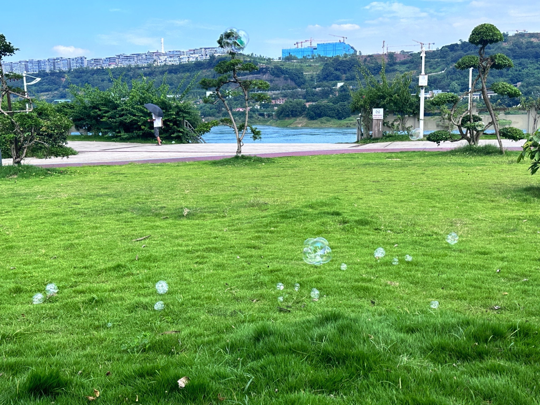宜宾滨江公园3期旅行图片 3