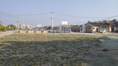 阳南文化广场旅行图片 3