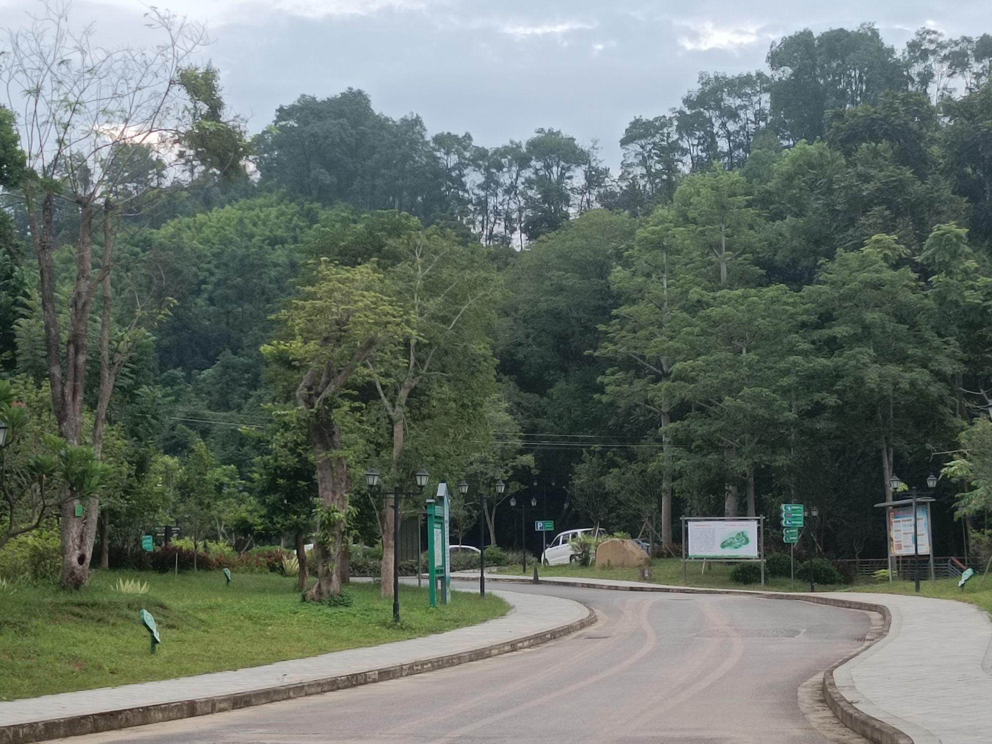 怀集植物园旅行图片 3