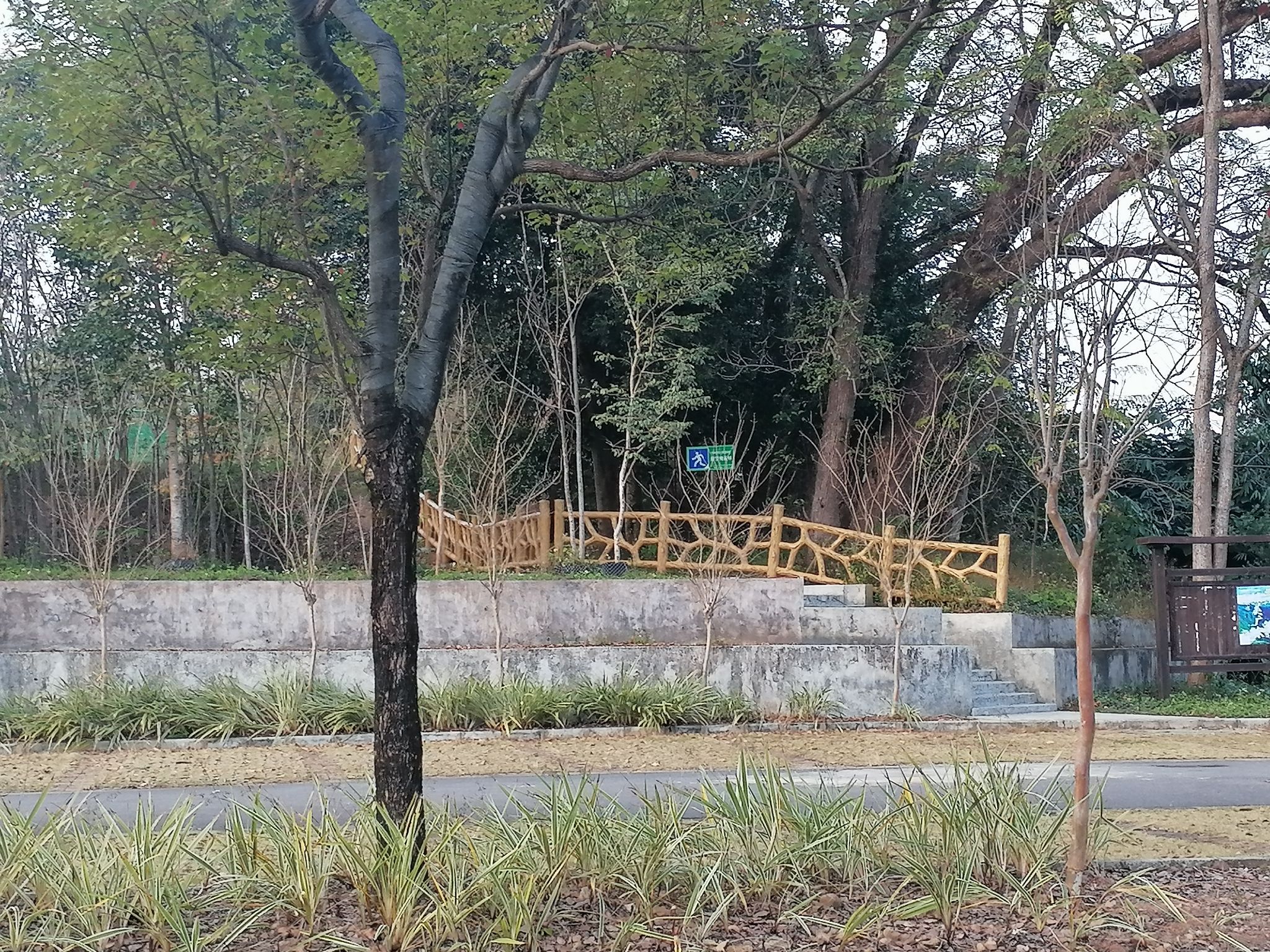 怀集植物园旅行图片 3