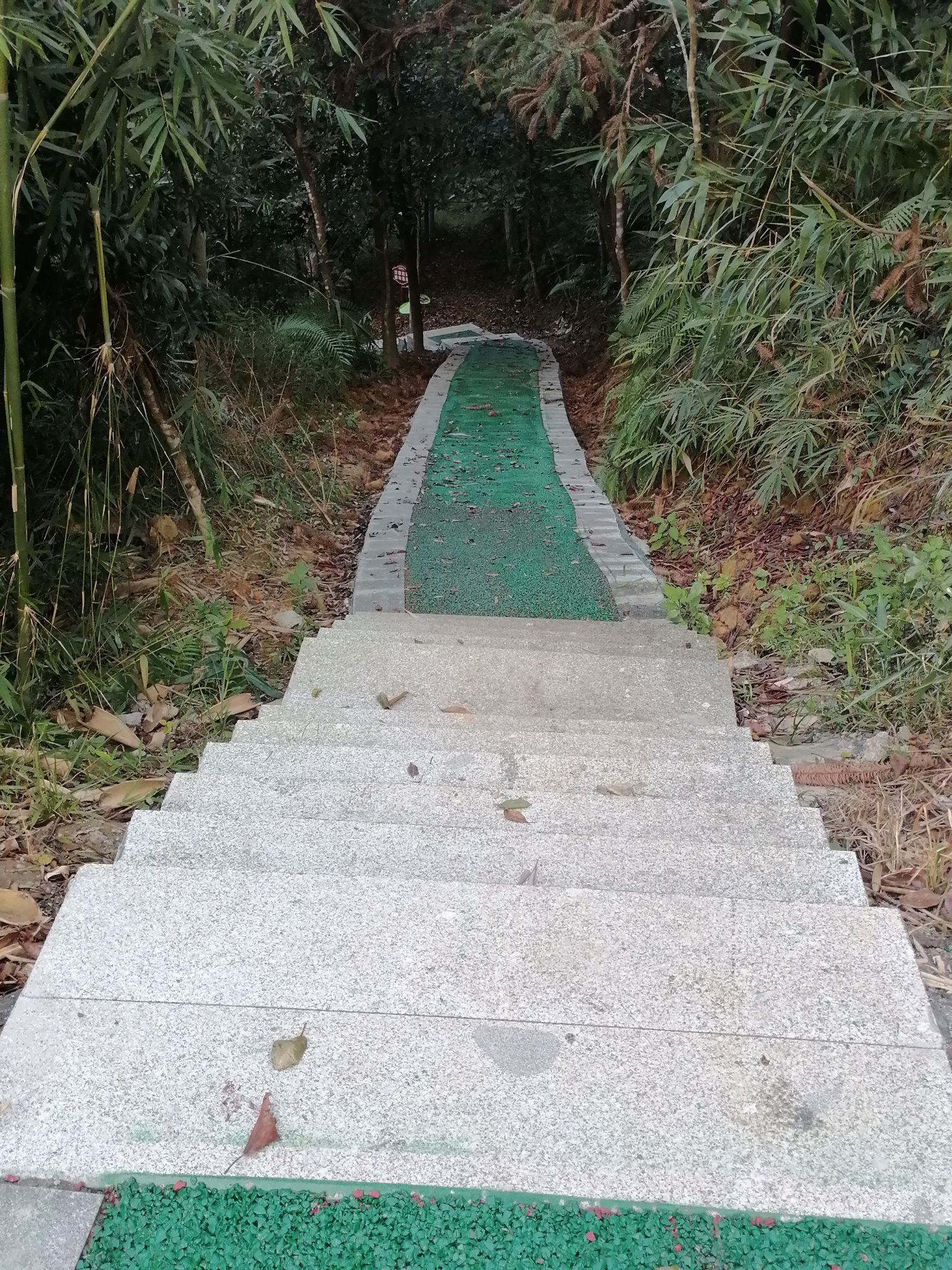 怀集植物园旅行图片 1