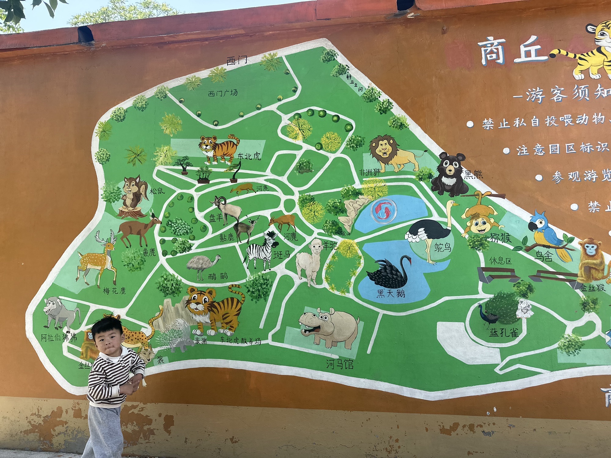 商丘人民公园-商丘市动物园