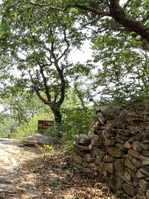 九仙山风景区旅行图片 3