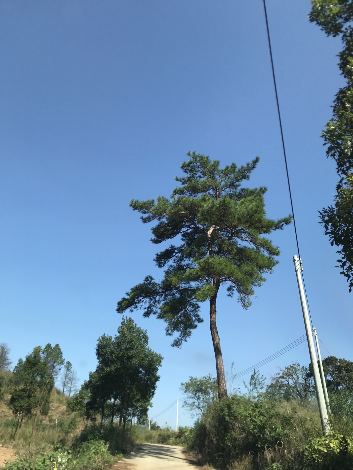蛙婆岭旅游风景区旅行图片 1