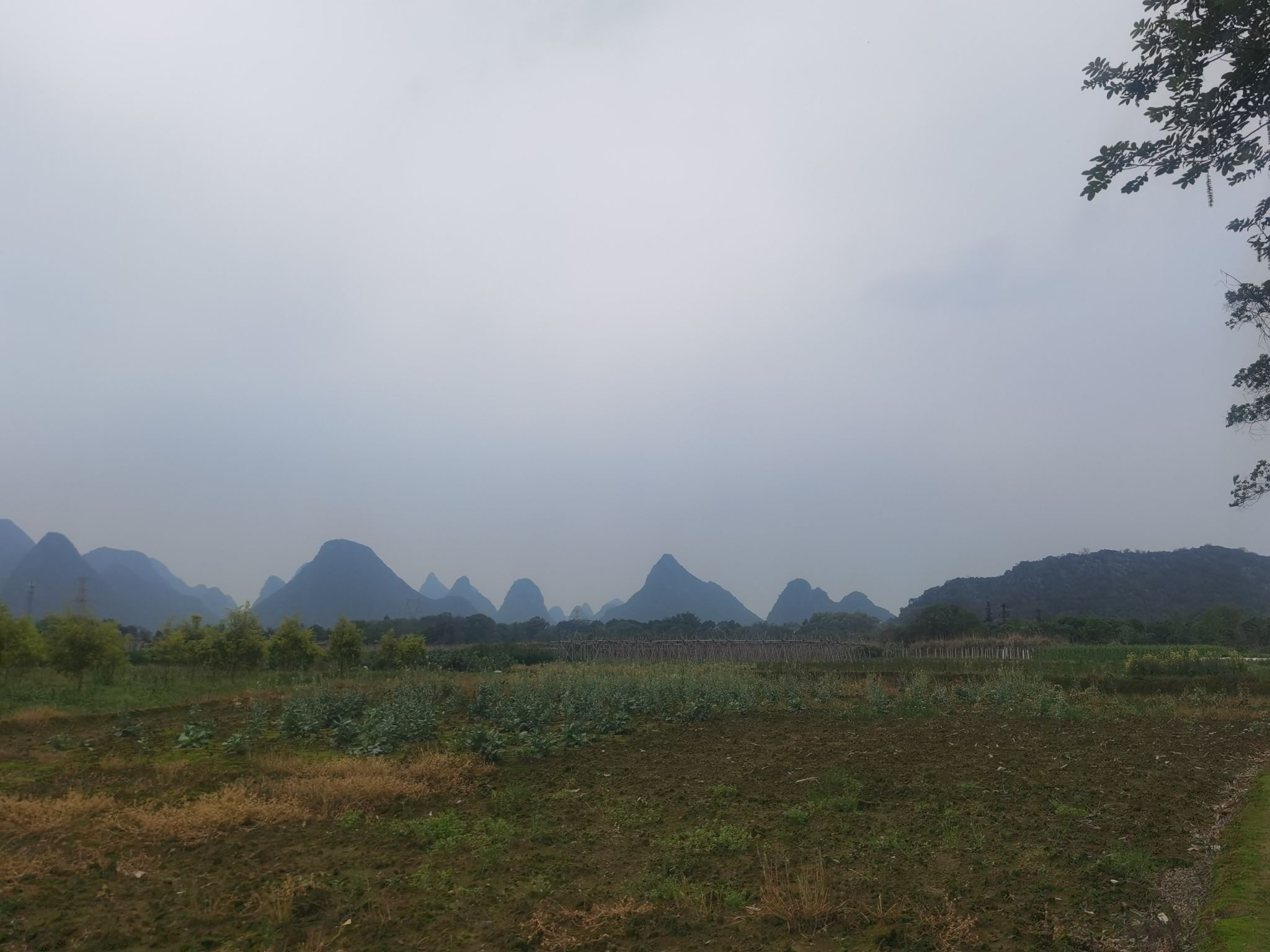 敢兴祠堂旅行图片 2