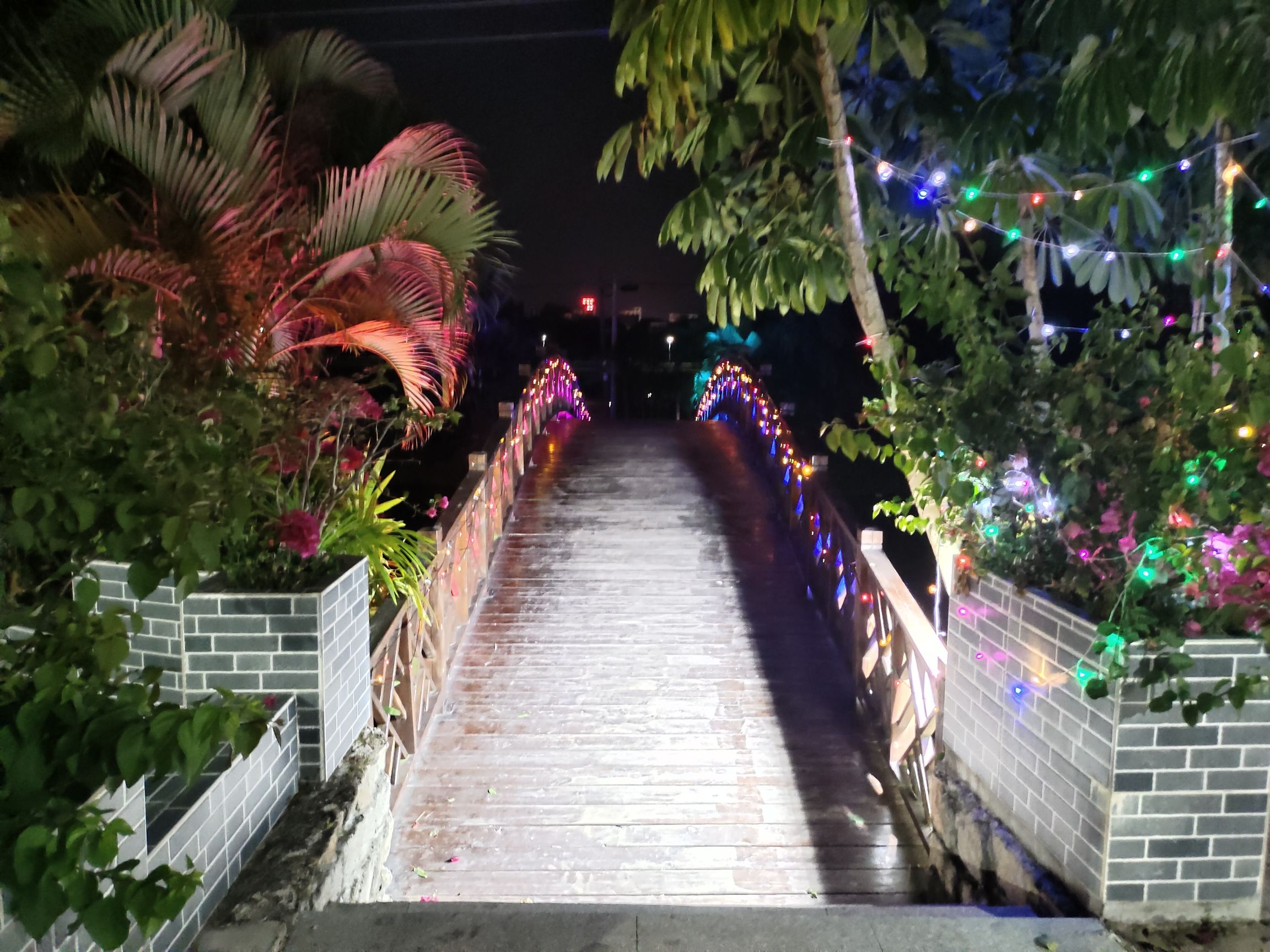 菩提古树公园