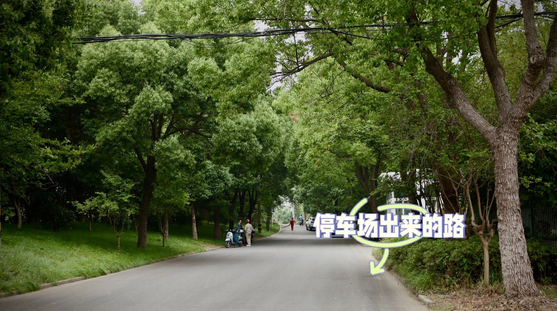 廖家沟城市中央公园旅行图片 3