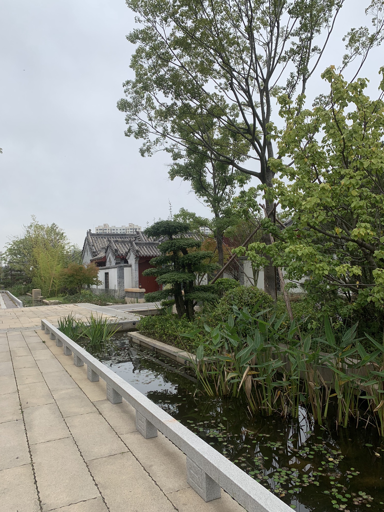 涛雒风情水镇旅行图片 1