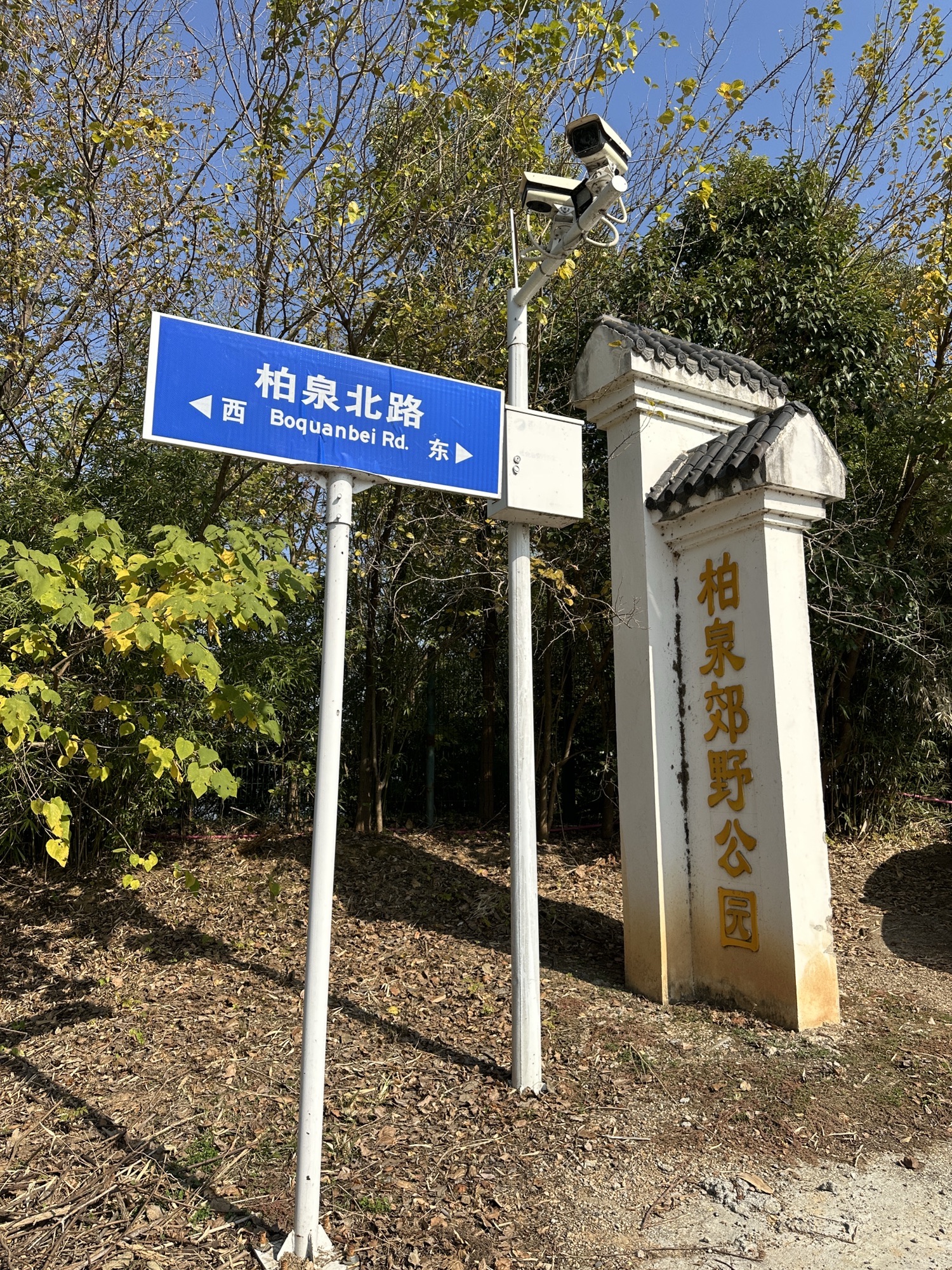 柏泉郊野公园旅行图片 1