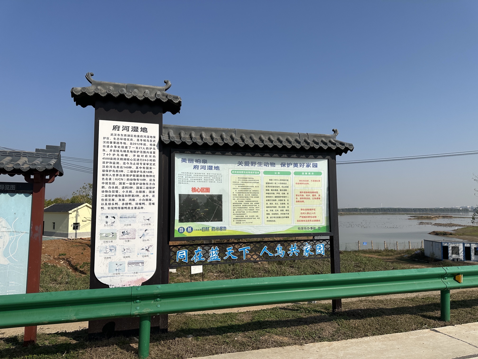 柏泉郊野公园旅行图片 2