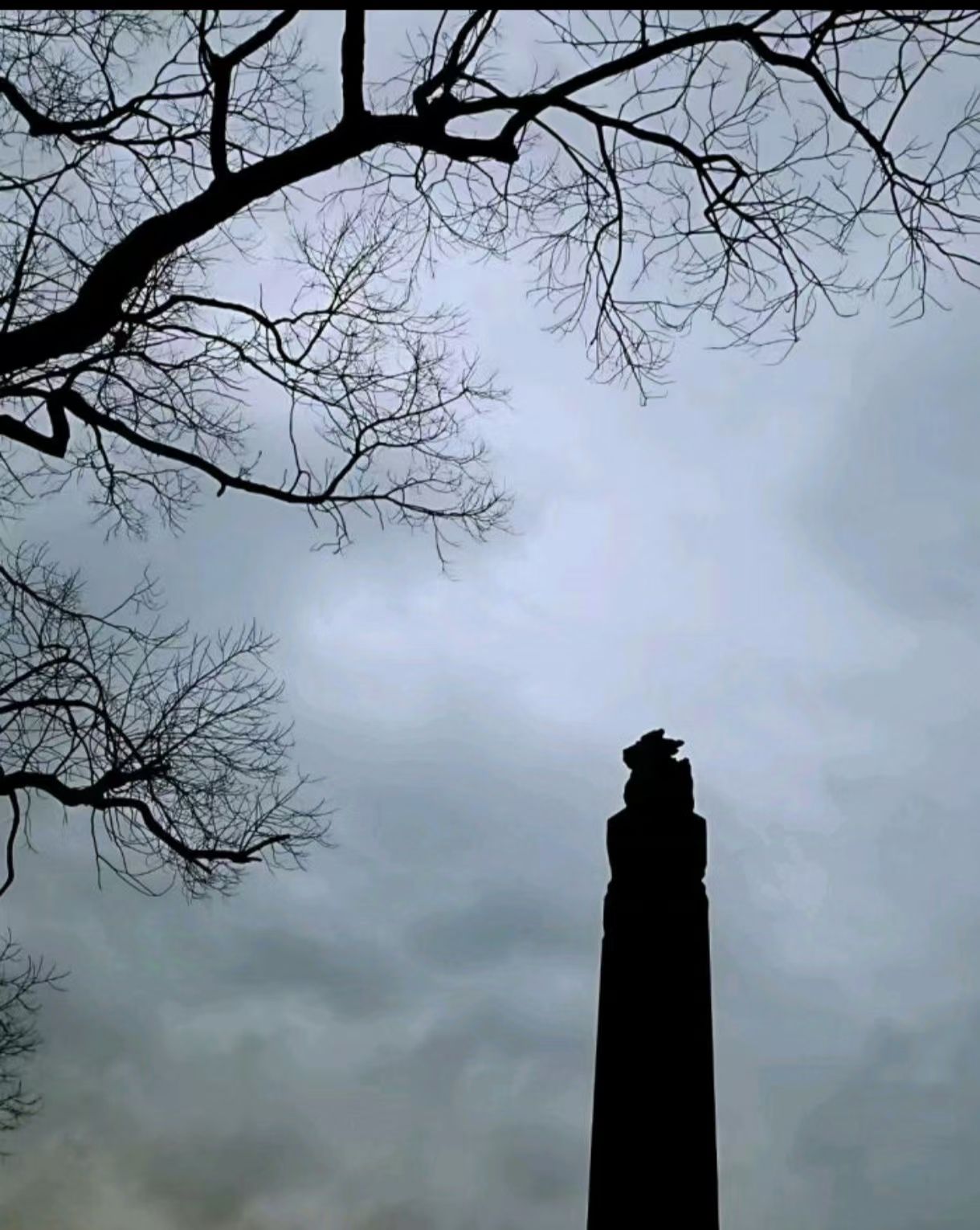 乐安王墓旅行图片 1