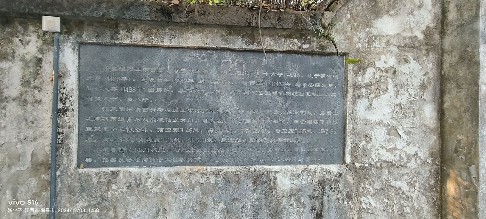 乐安王墓旅行图片 2