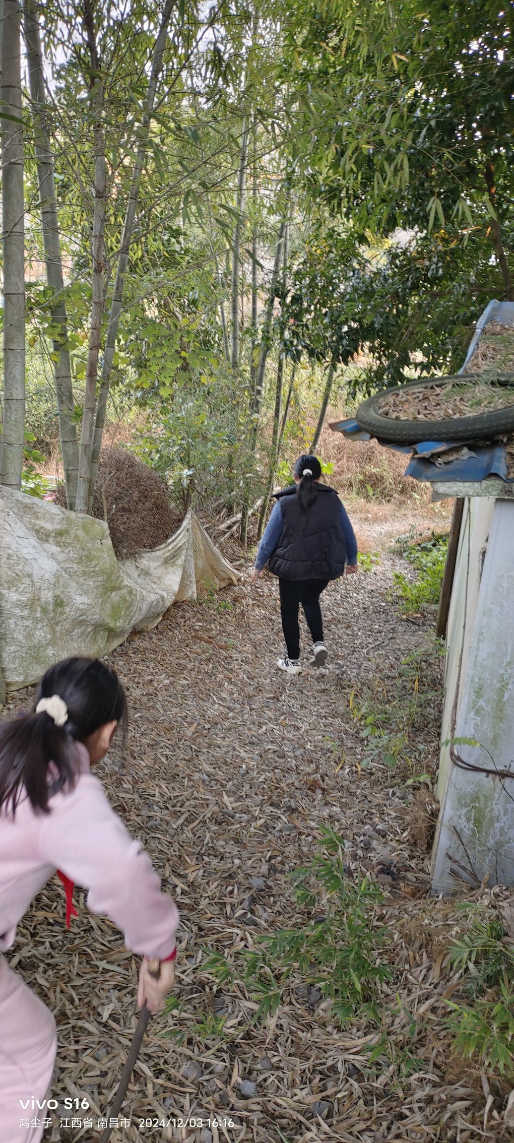 乐安王墓旅行图片 2