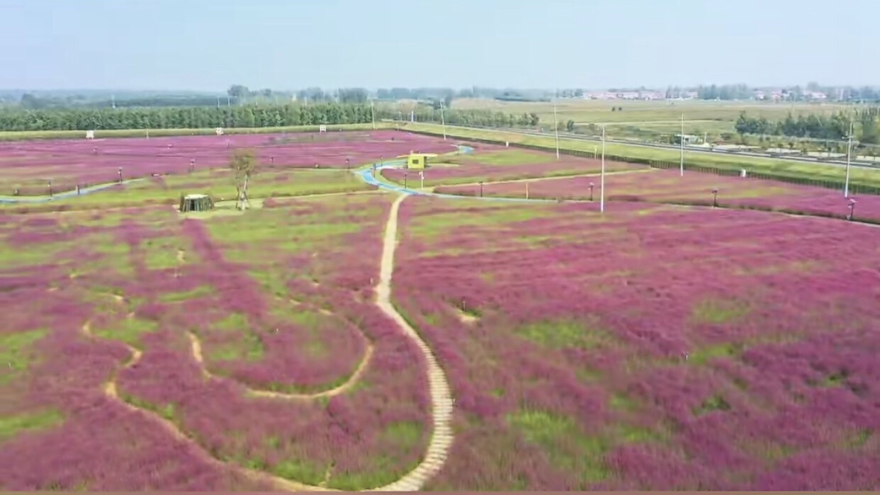 润丰湖花海旅行图片 3