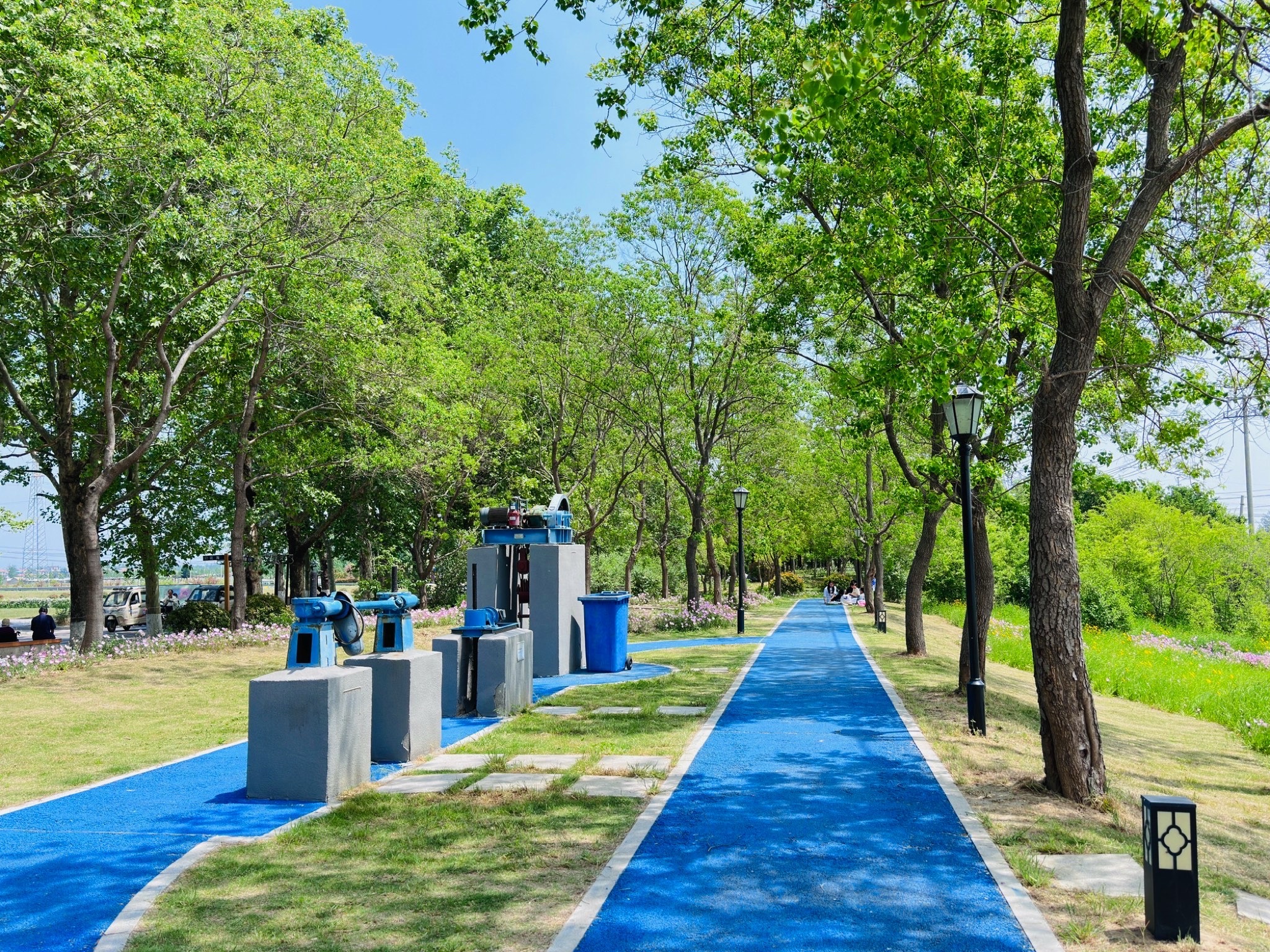 润丰湖花海旅行图片 1