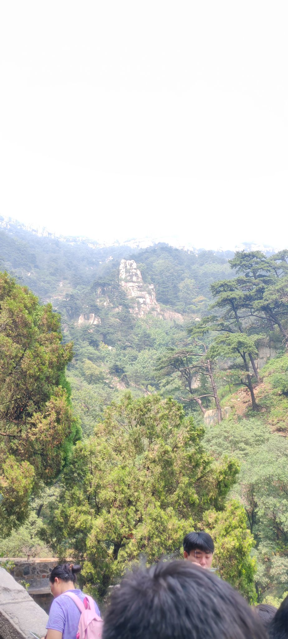 润丰湖花海旅行图片 2