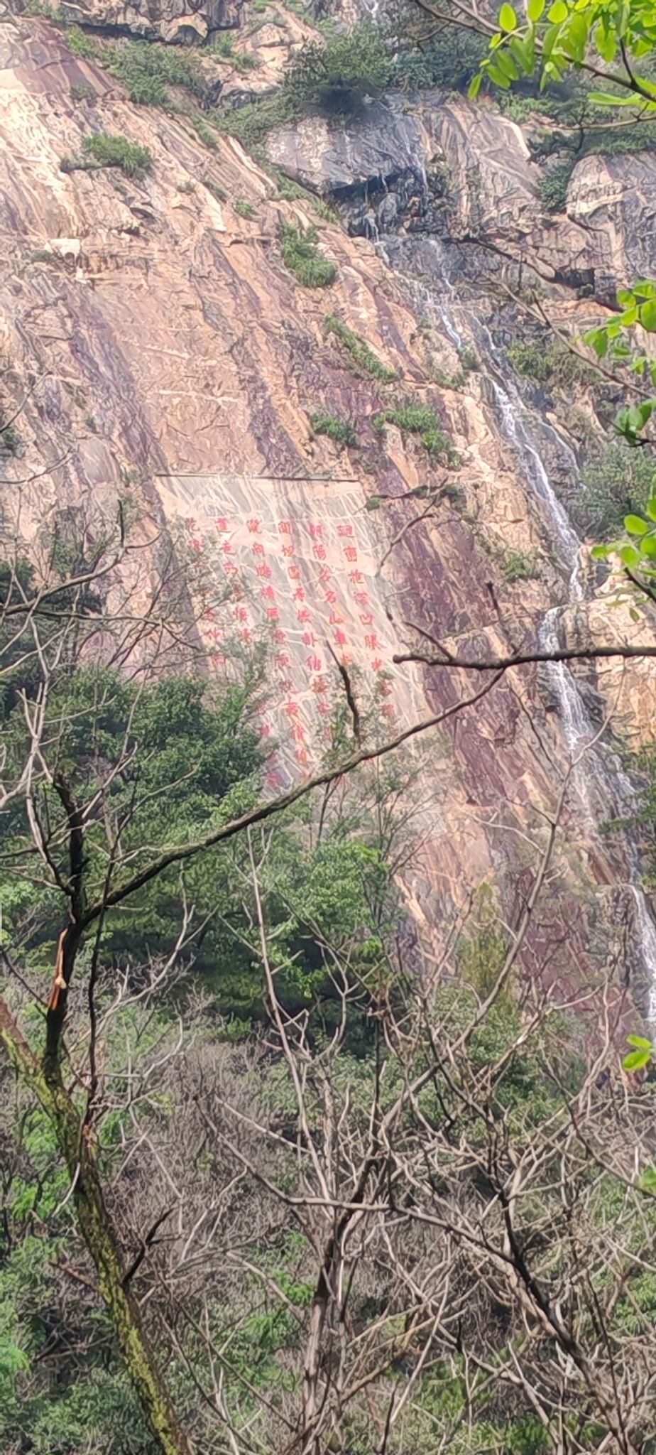 润丰湖花海旅行图片 3