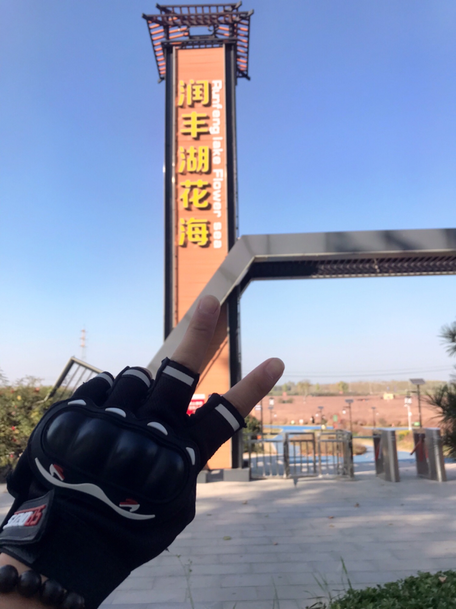 润丰湖花海旅行图片 1