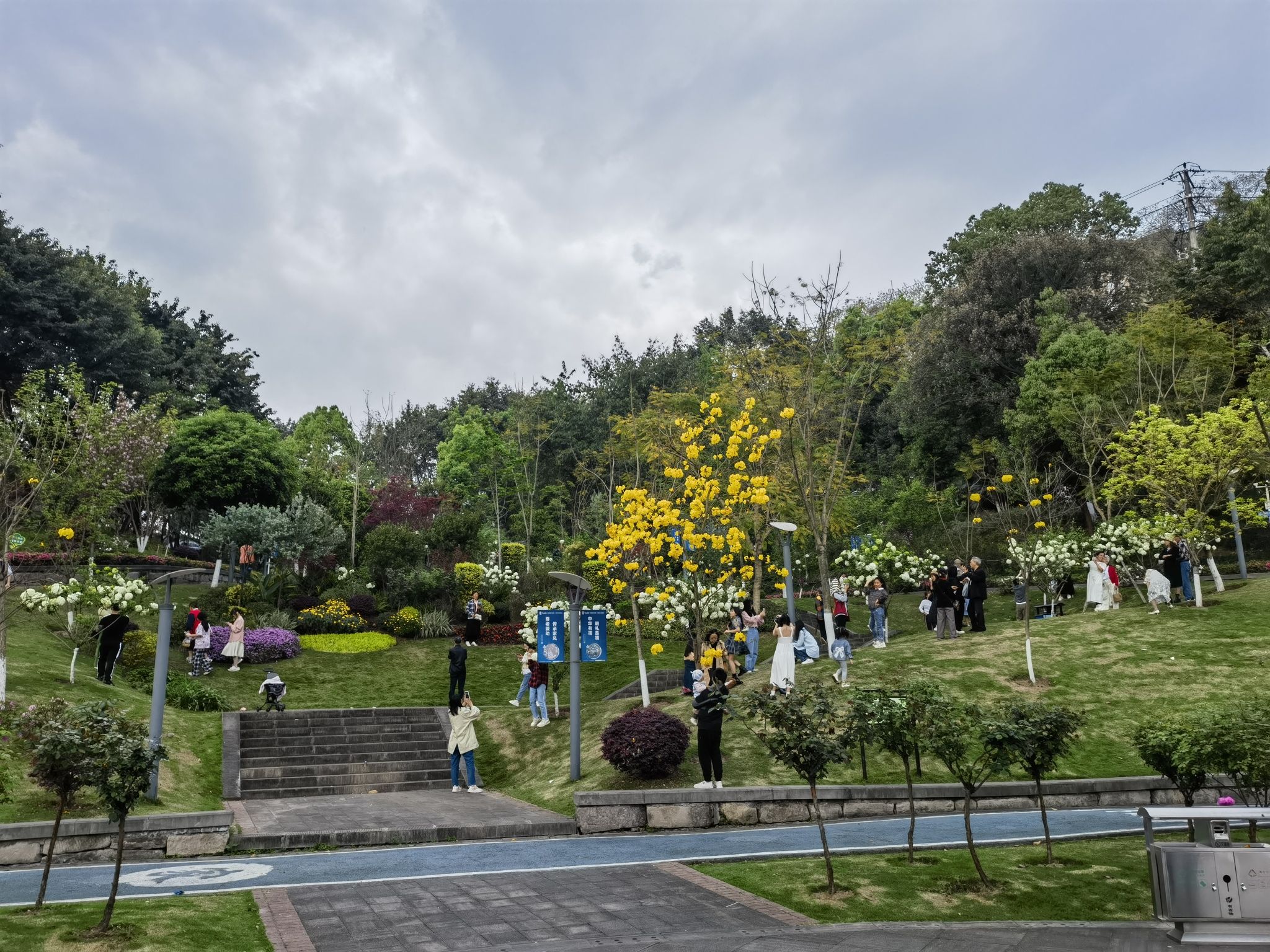 联芳新公园旅行图片 2