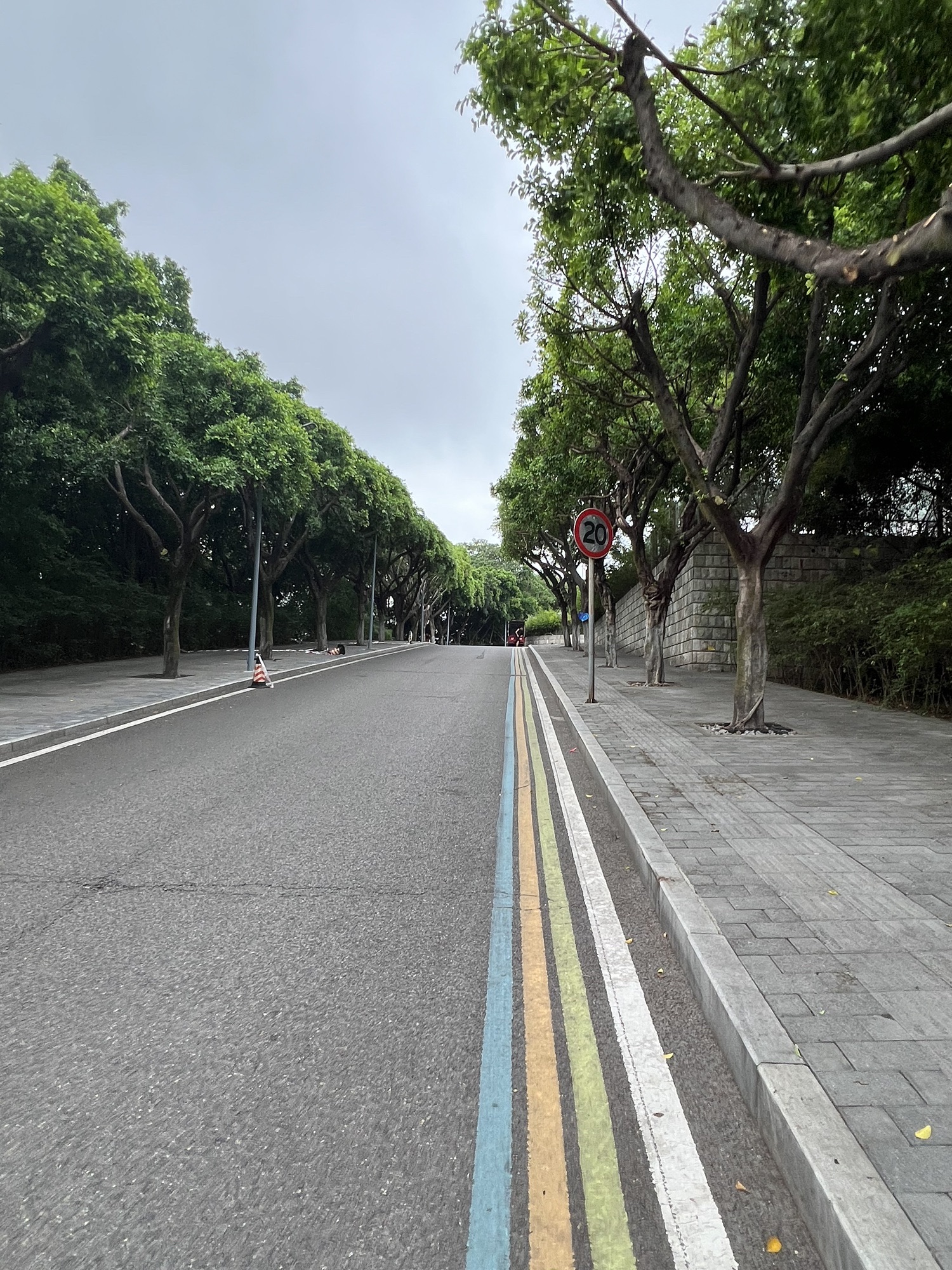 联芳新公园旅行图片 2