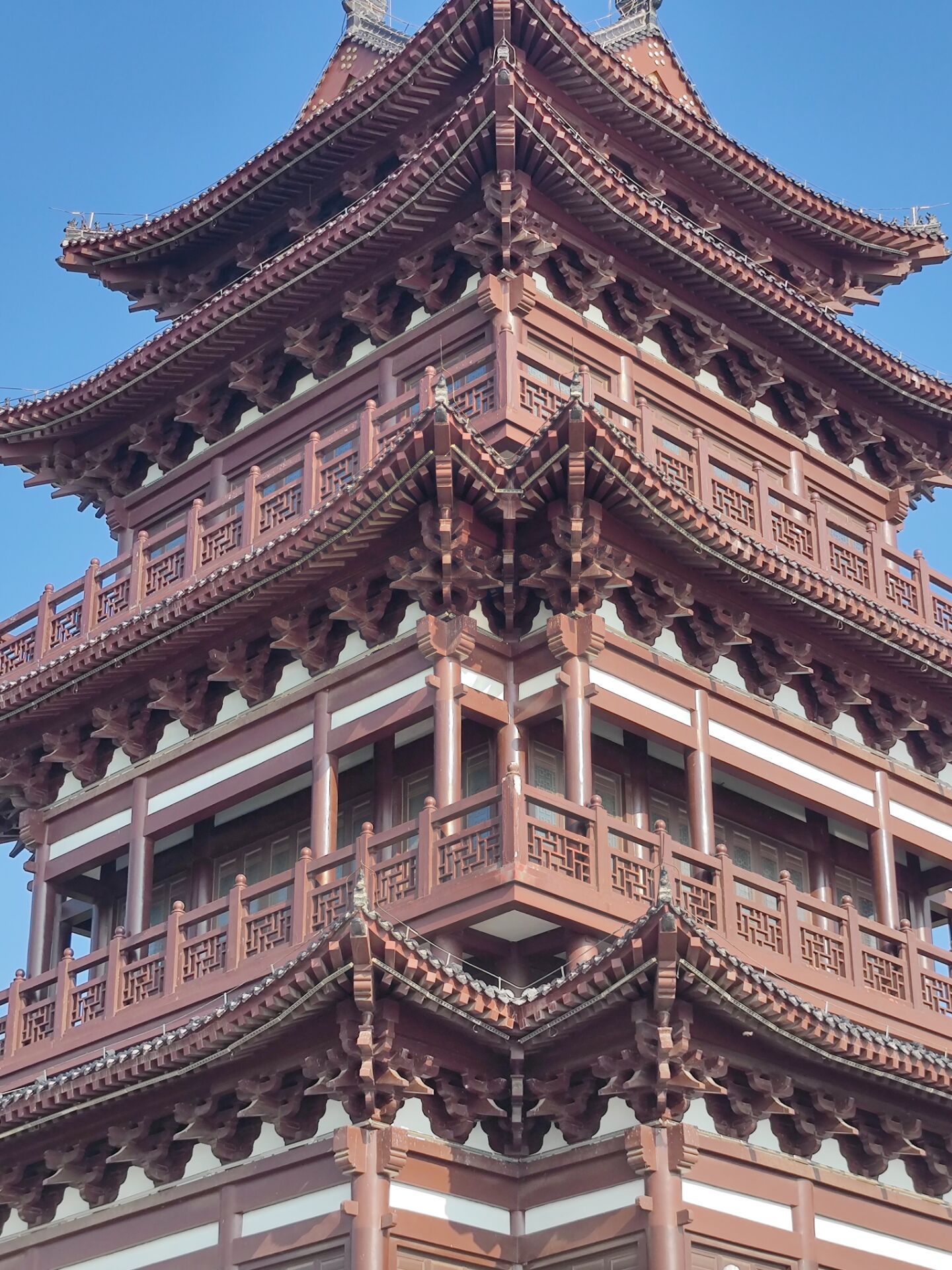 朱雀山公园旅行图片 3