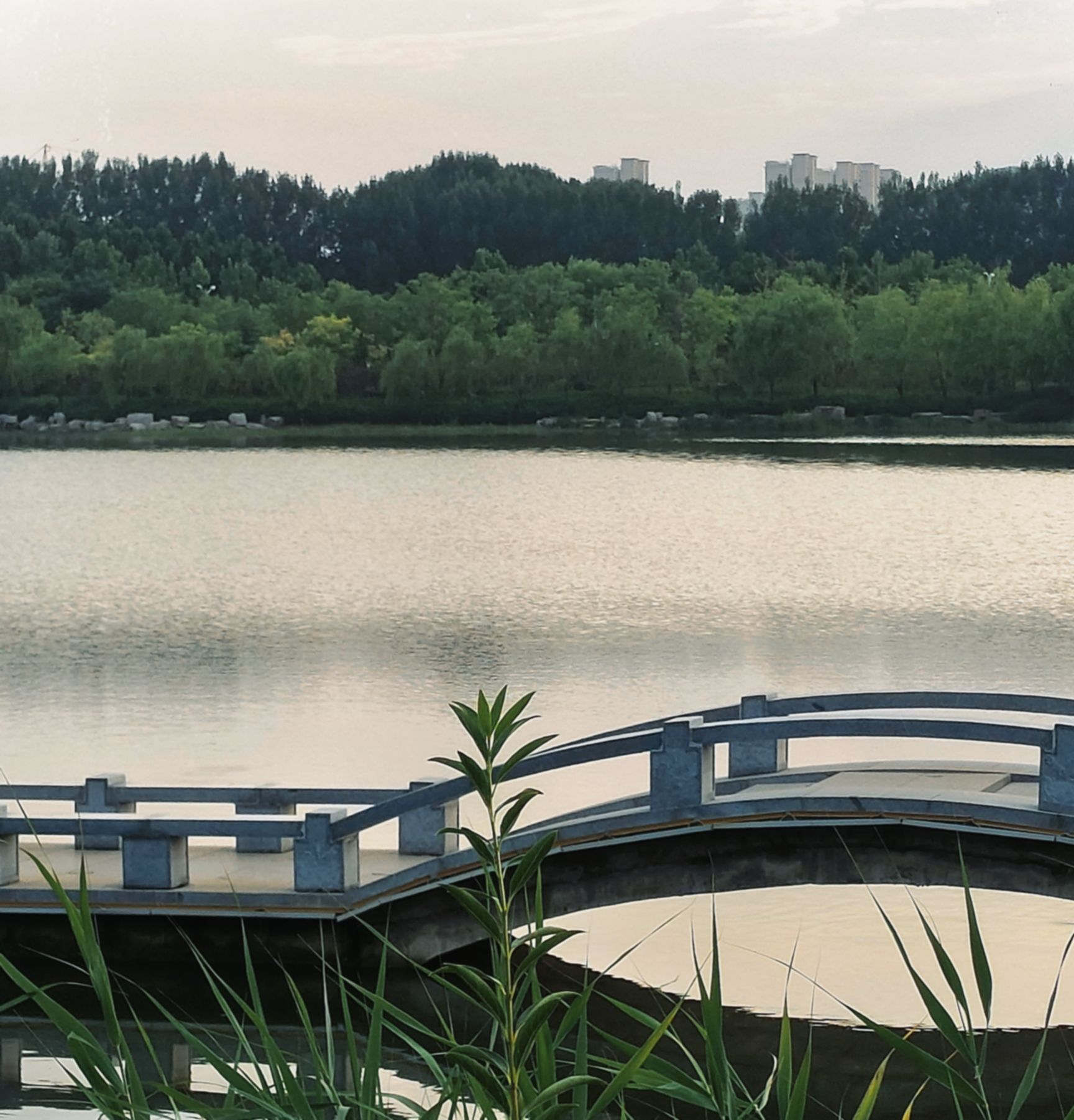 朱雀山公园旅行图片 2