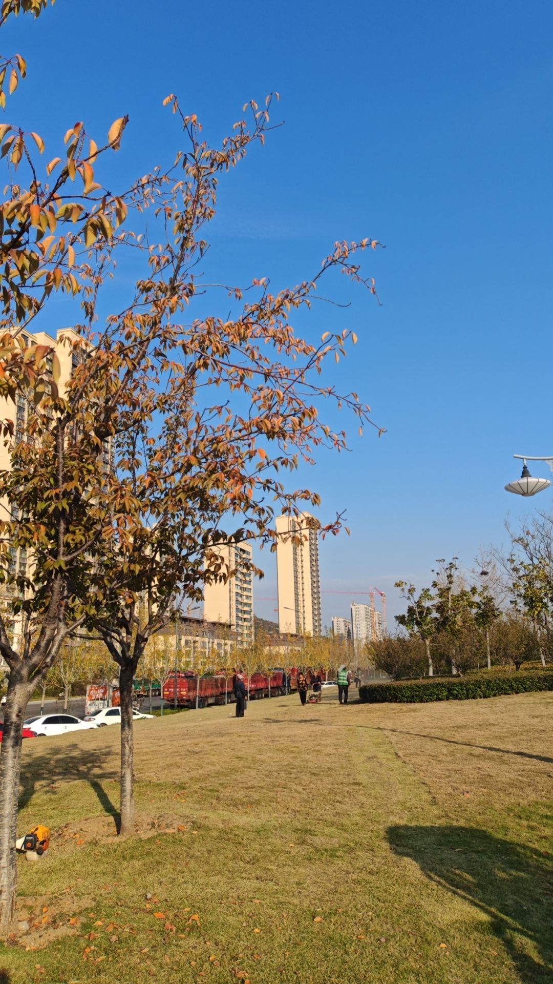 朱雀山公园旅行图片 2