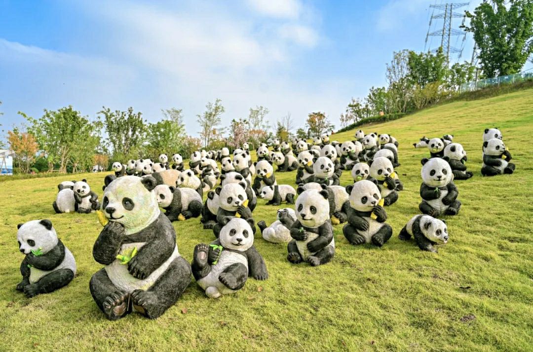 寸滩滨江公园旅行图片 3