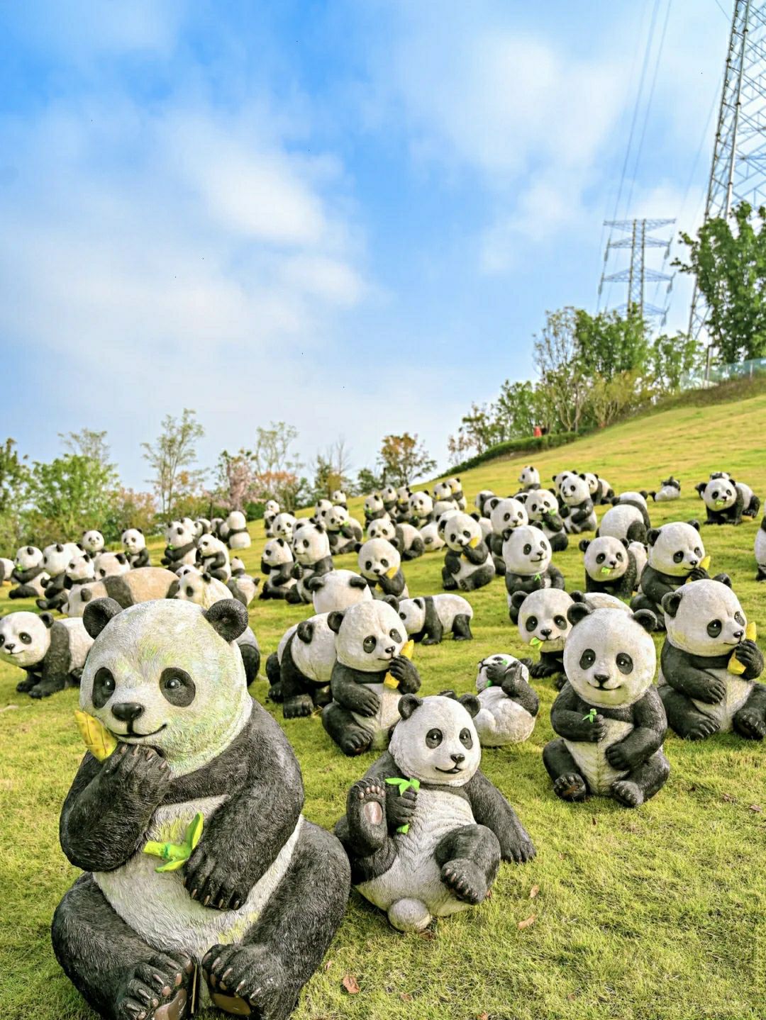 寸滩滨江公园旅行图片 1