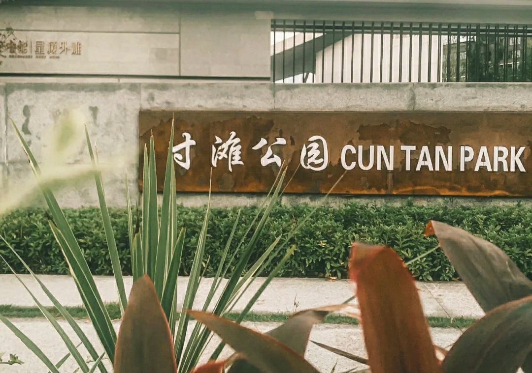 寸滩滨江公园旅行图片 2