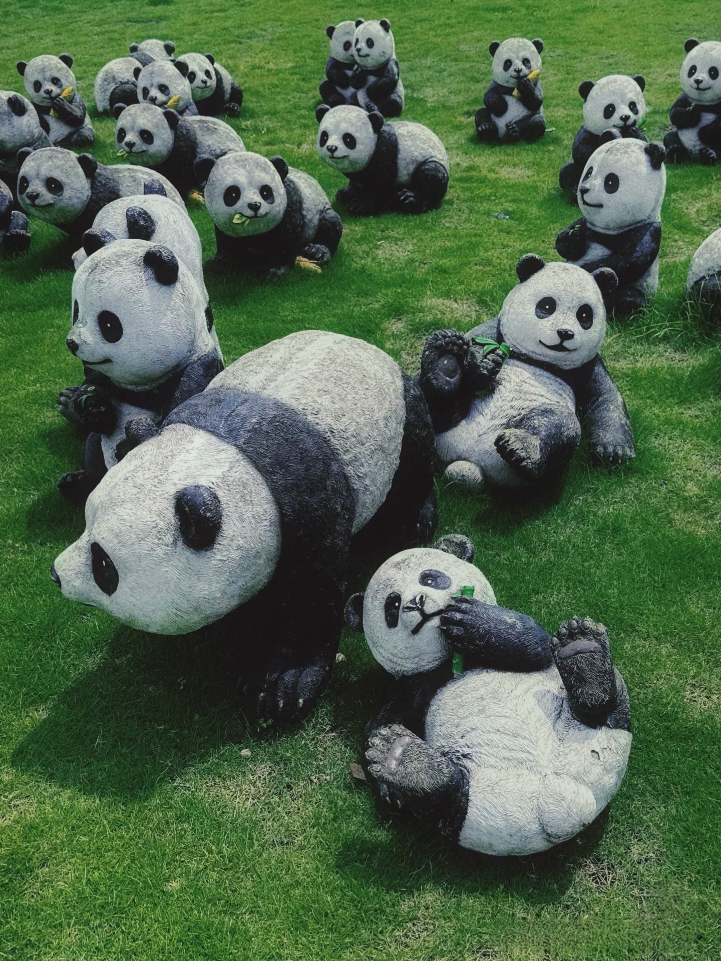寸滩滨江公园旅行图片 3