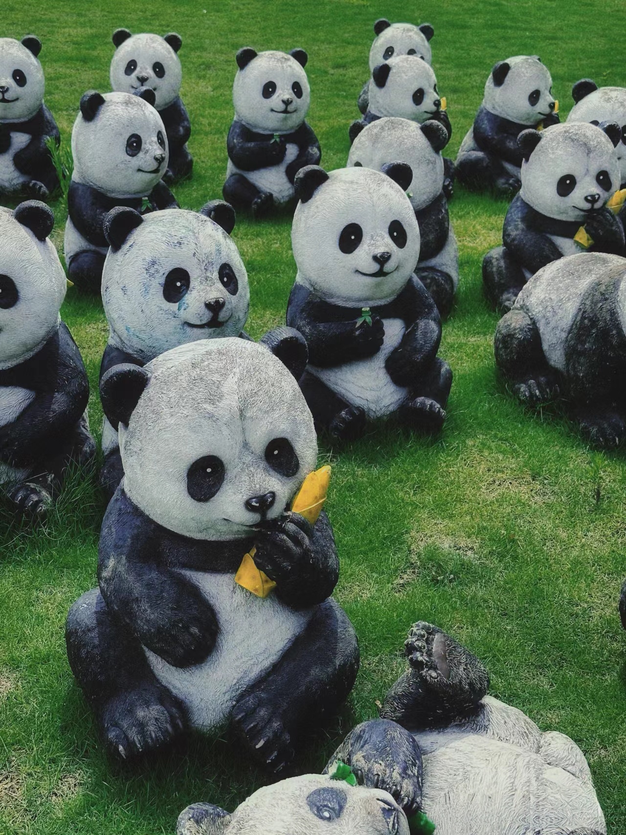 寸滩滨江公园旅行图片 1