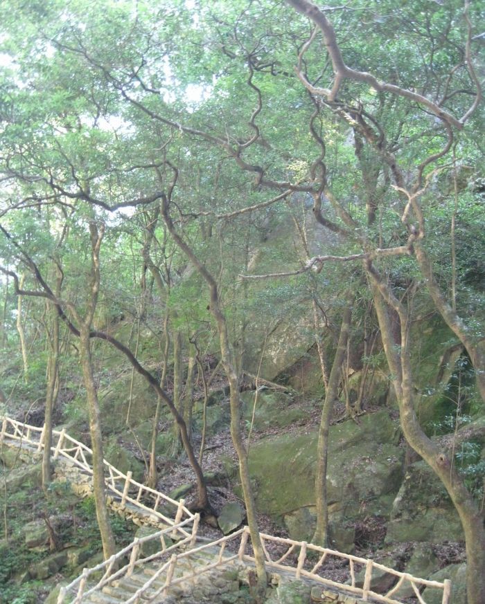 九龙潭瀑布旅行图片 1