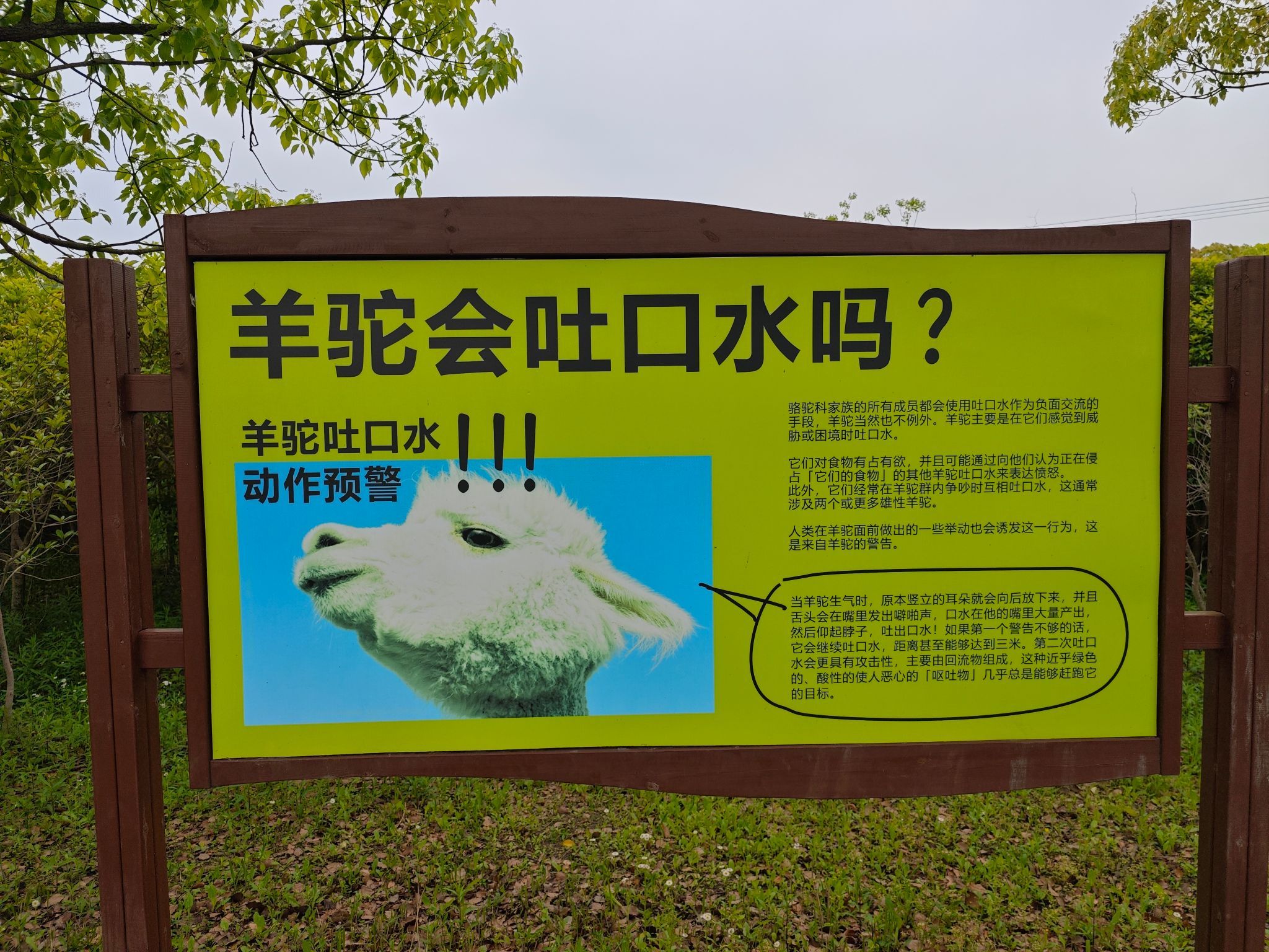 自然卷卷牧野旅行图片 2