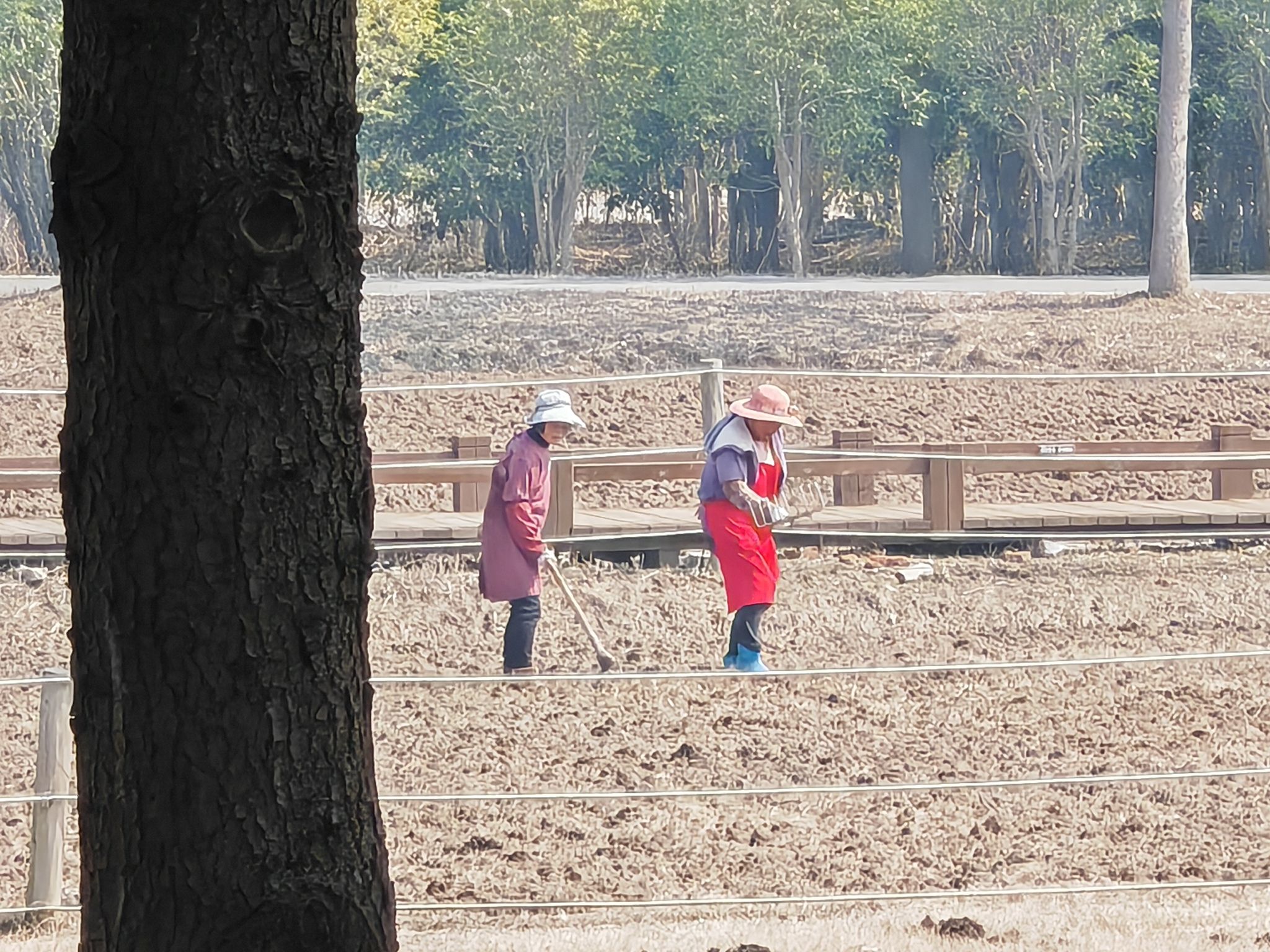 自然卷卷牧野旅行图片 2