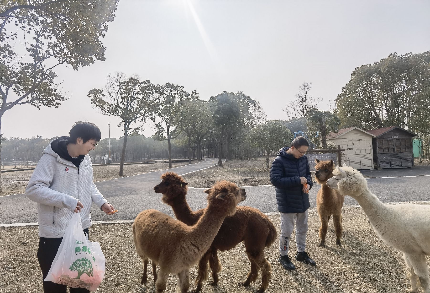自然卷卷牧野旅行图片 3