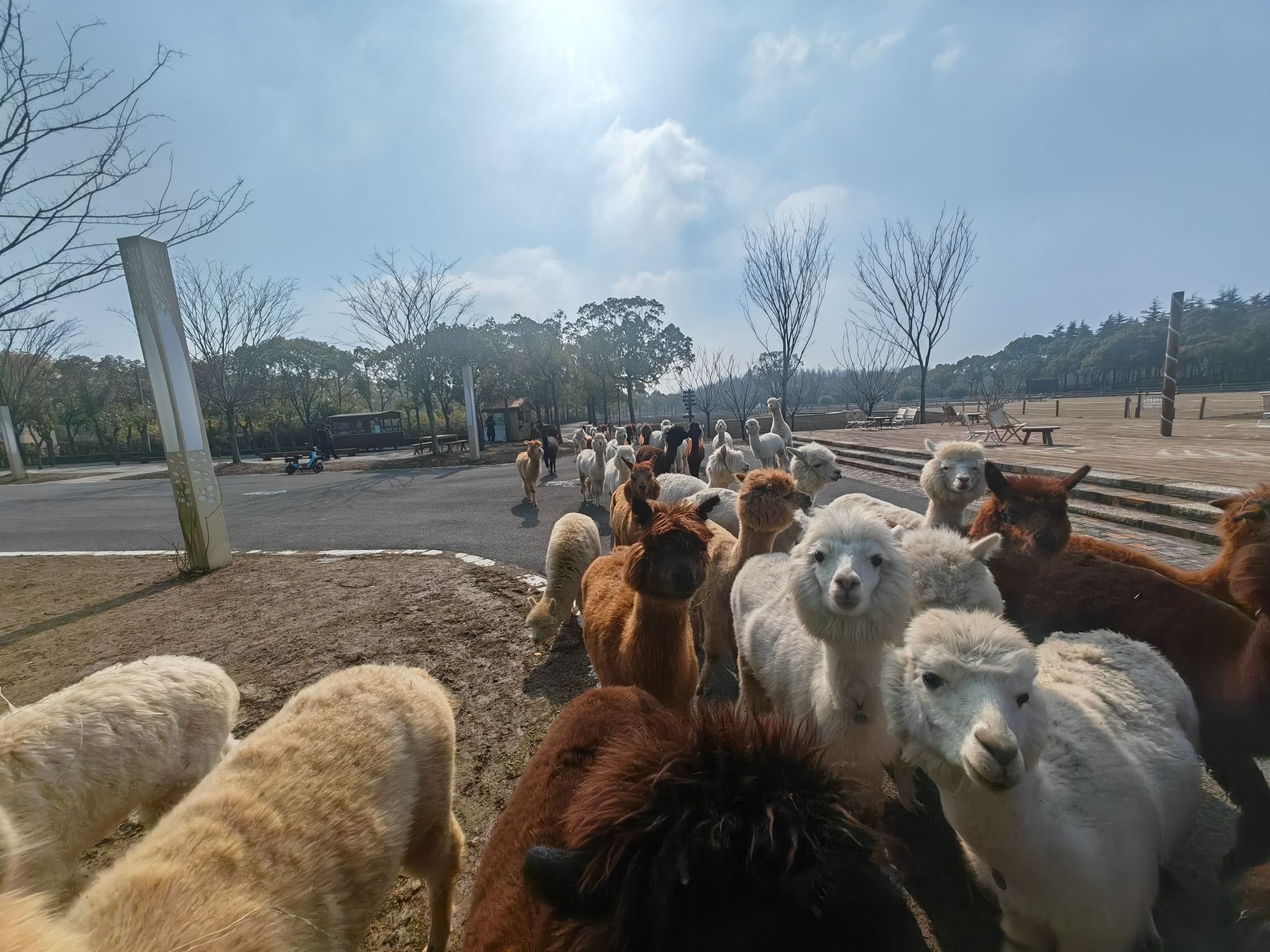 自然卷卷牧野旅行图片 1