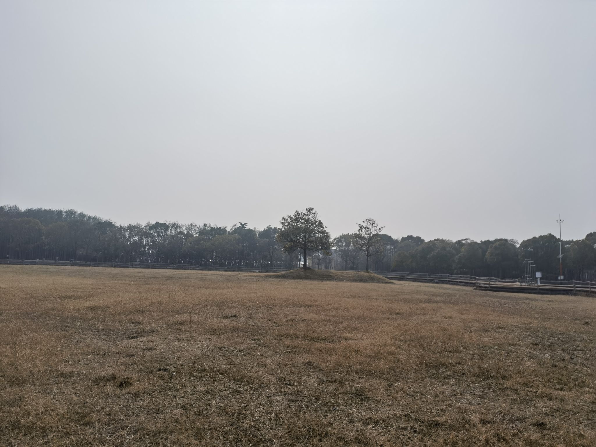 自然卷卷牧野旅行图片 1