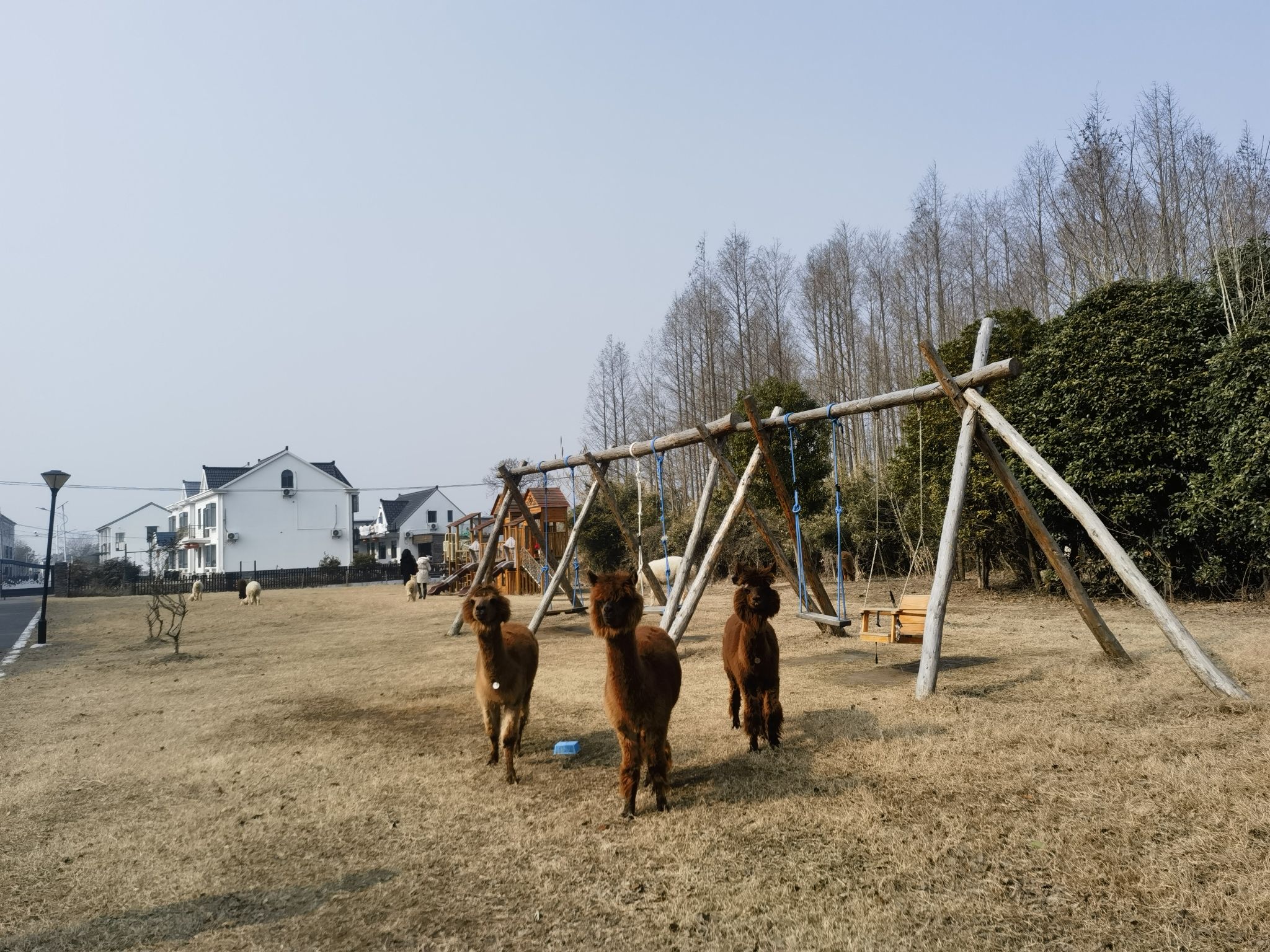 自然卷卷牧野旅行图片 2