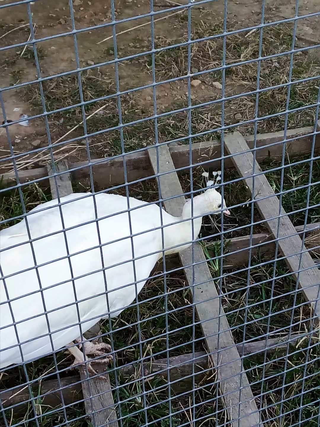 舟山市群岛新区百鸟园旅游景区