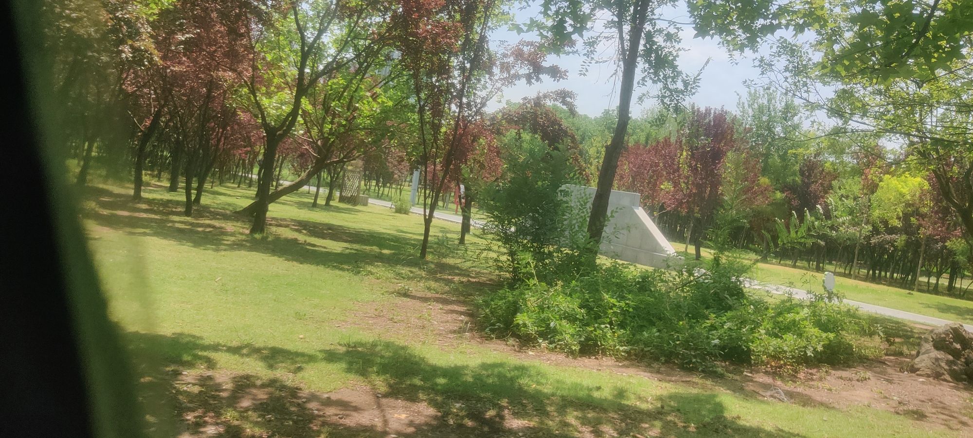 护台公园旅行图片 3