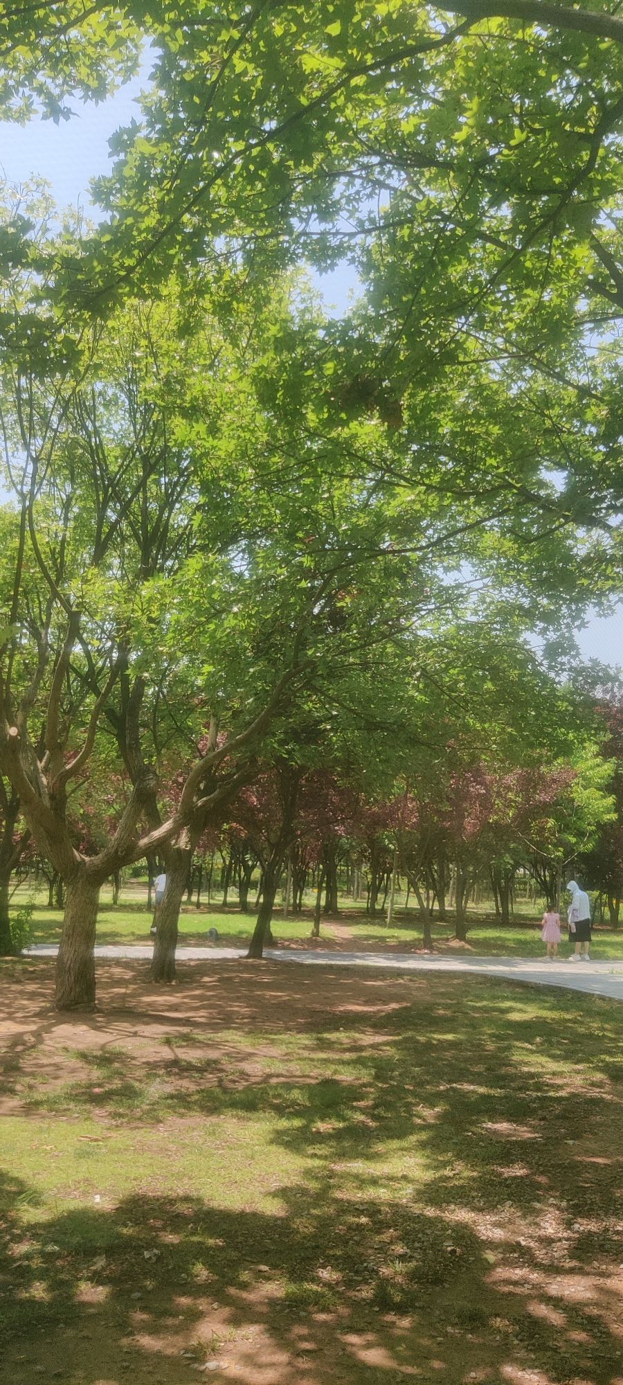 护台公园旅行图片 2