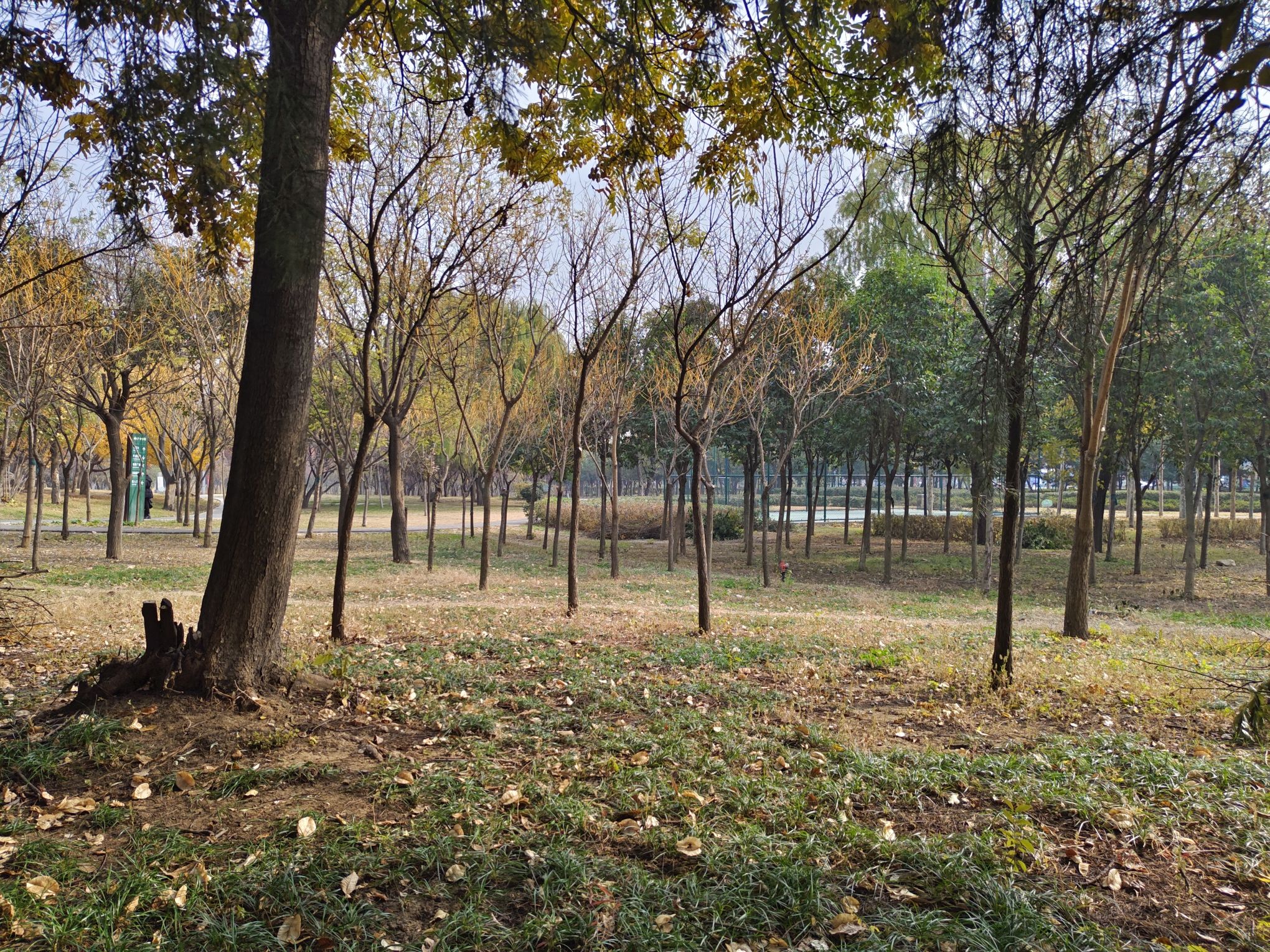 护台公园旅行图片 2