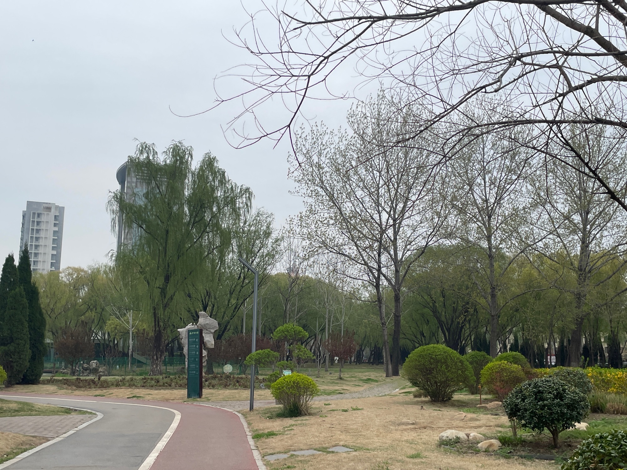 护台公园旅行图片 3