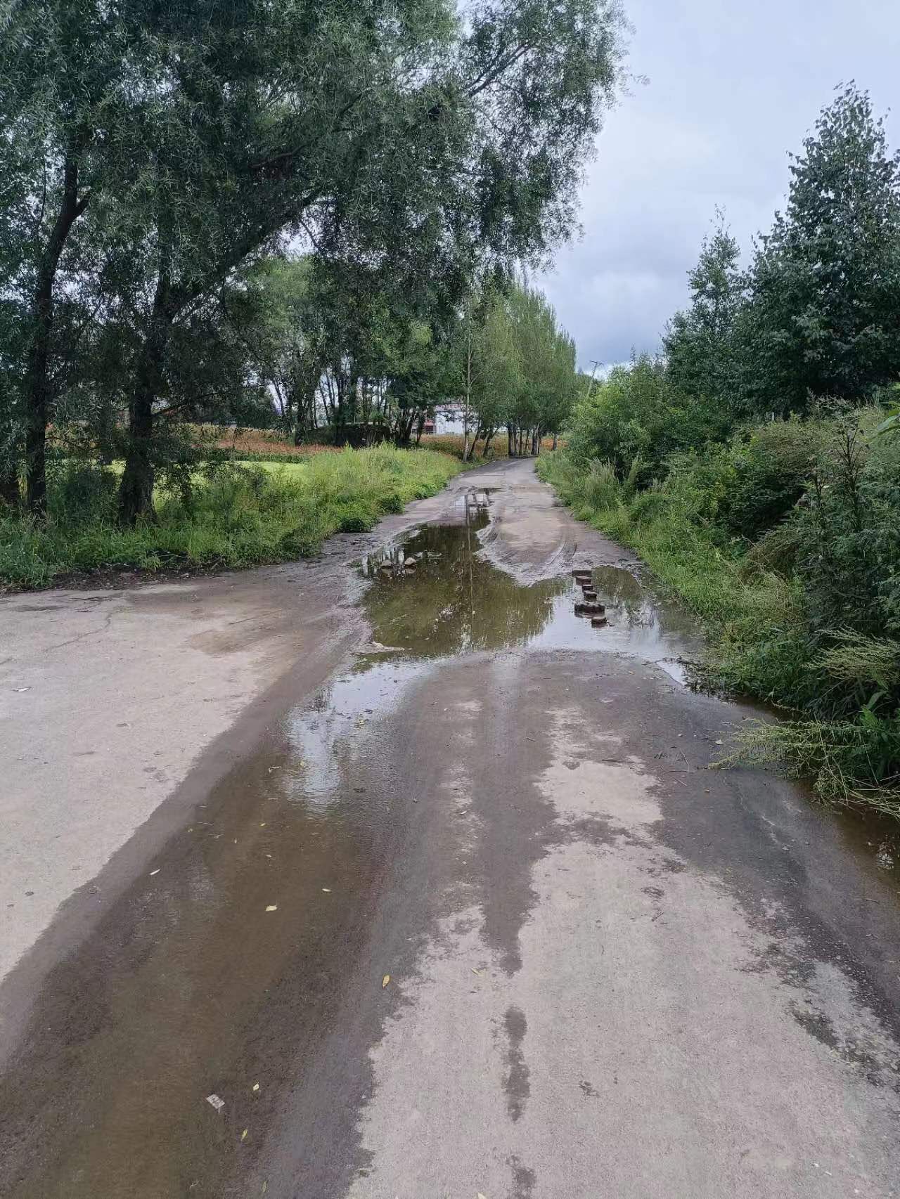 欣虹湖公园旅行图片 2