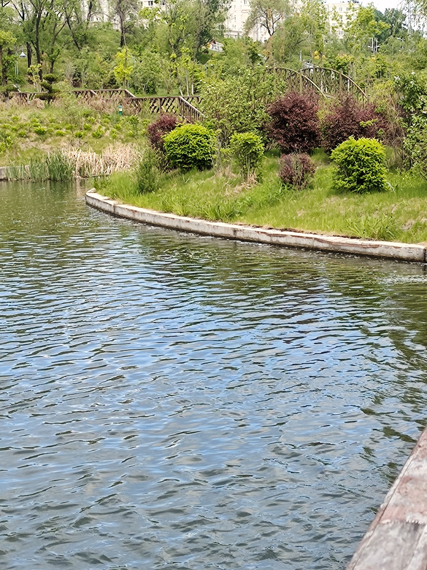 欣虹湖公园旅行图片 3