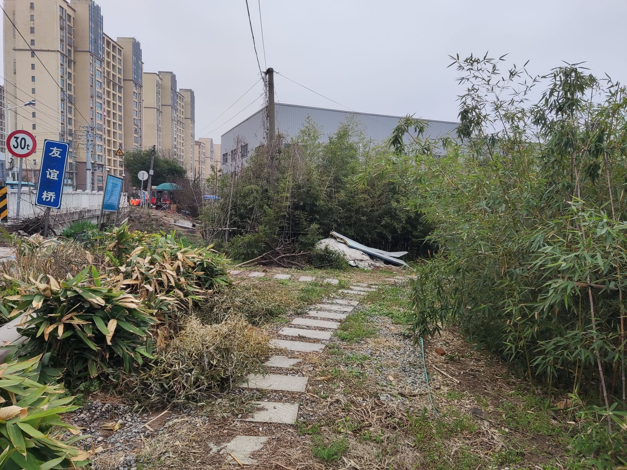竹文化主题公园旅行图片 2
